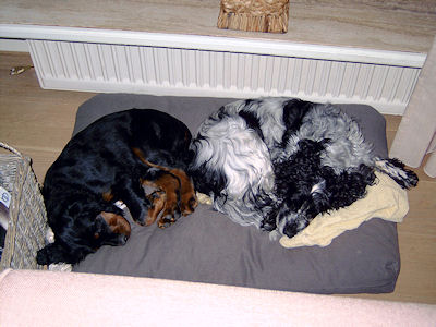 Jack 31 december 2007